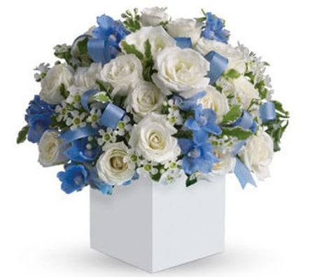 Picture for category New Baby